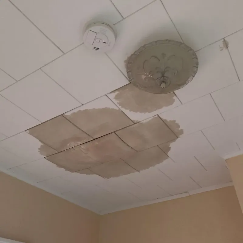Ceiling Water Damage Repair in Archer County, TX