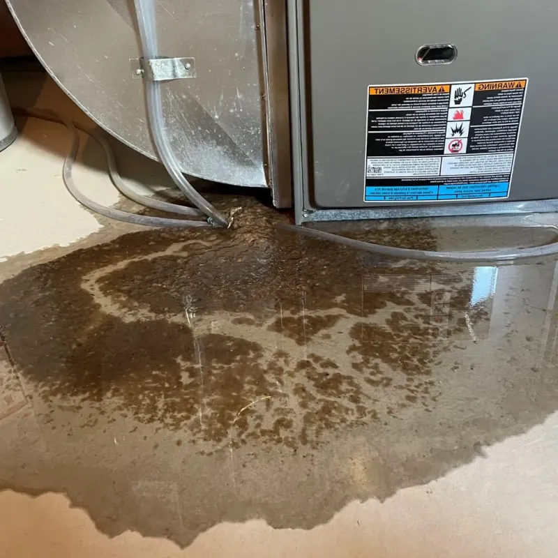 Pipe Burst and Leak Restoration in Archer County, TX