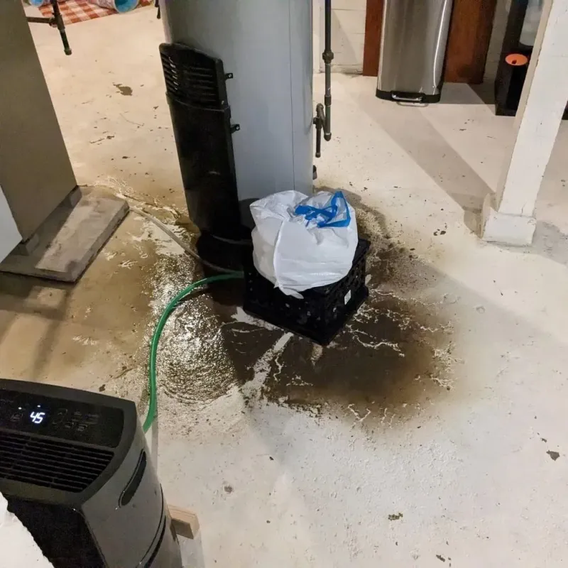 Sewage Backup Cleanup Service in Archer County, TX